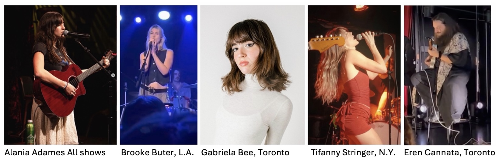 Openers and guests on stage